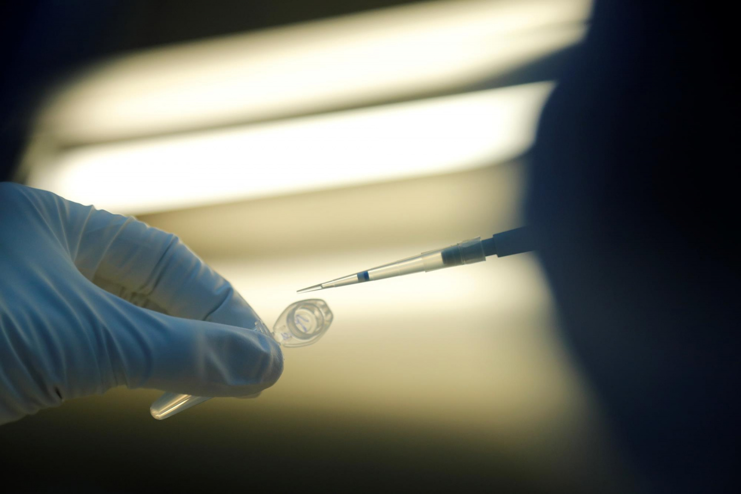 New Research Discovers That Type O Blood Protective Vs ...