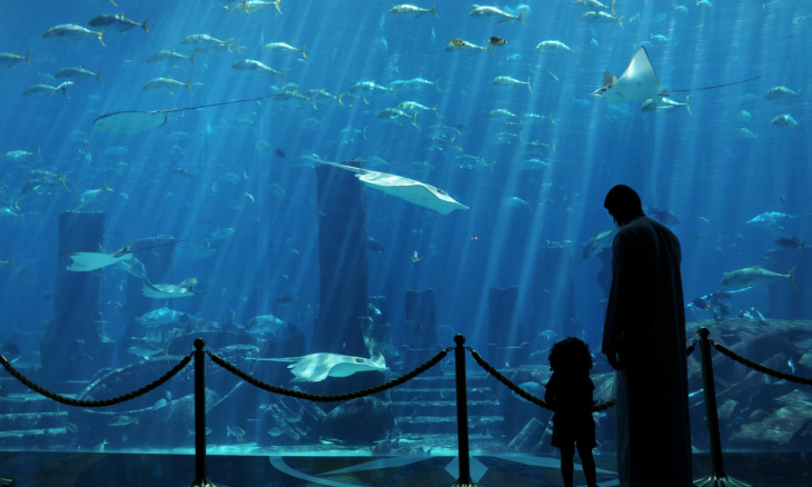 A man with his daughter watch the aquarium in the Atlantis The Palm hotel