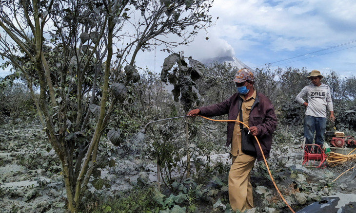 Farmers clean volcanic ash from vegetables after the eruption 