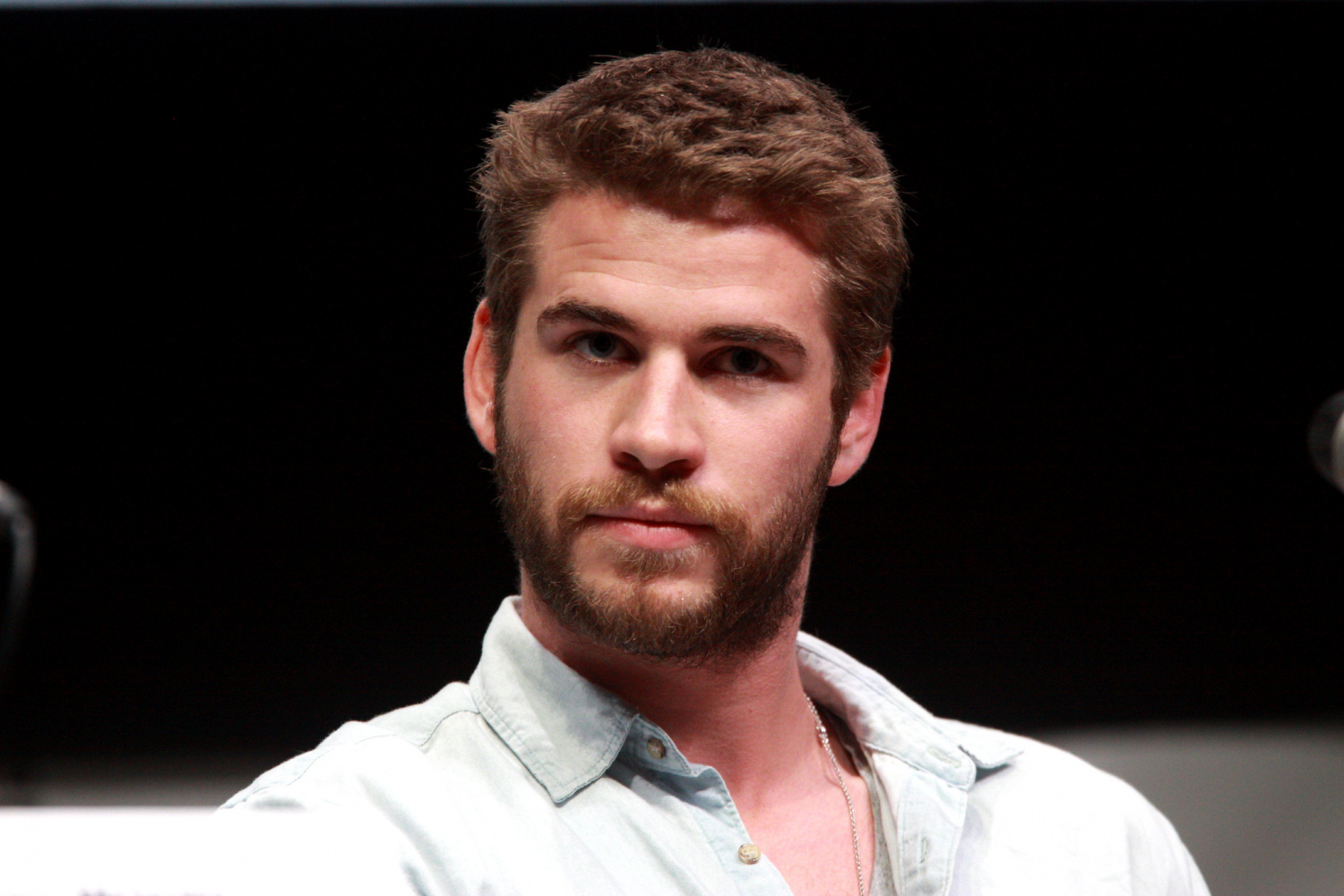 Liam hemsworth memes