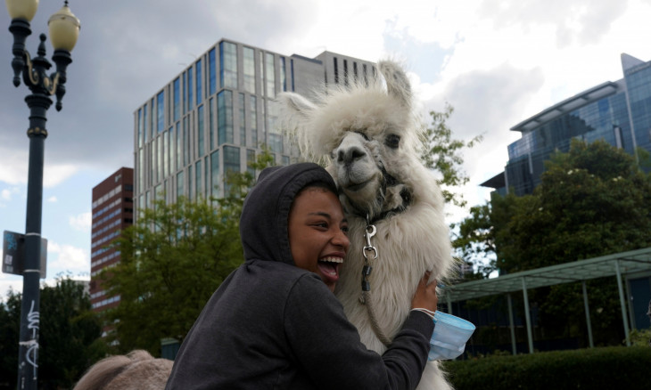 Lyra Conley hugs Caesar McCool, a therapy llama nicknamed the "No Drama Llama"