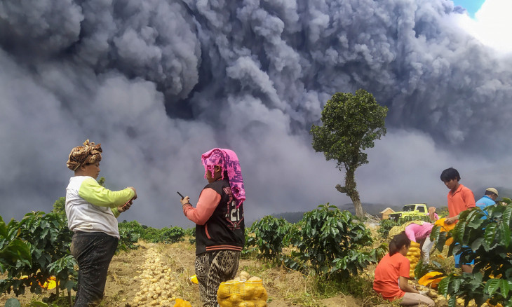 Locals harvest their potatoes as Mount Sinabung spews volcanic ash 