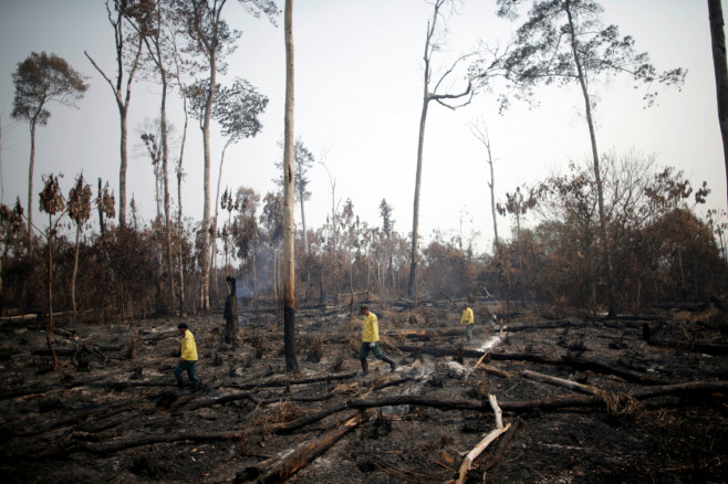 Brazilian Institute for the Environment and Renewable Natural Resources (IBAMA) fire brigade members walk in a burned area 