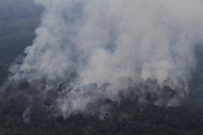 Smoke billows from a fire in an area of the Amazon jungle as it is cleared by loggers