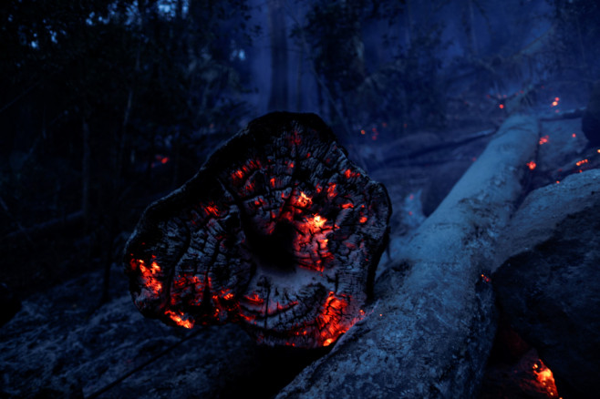 A tract of the Amazon jungle is seen burning 