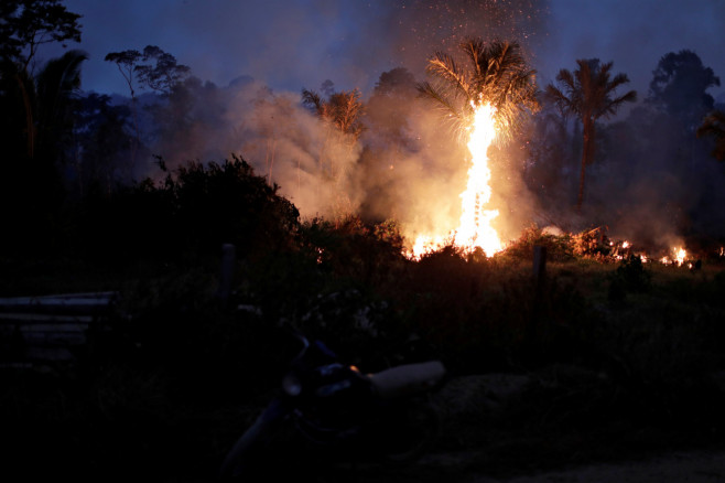 A tree is seen burning while a fire burns