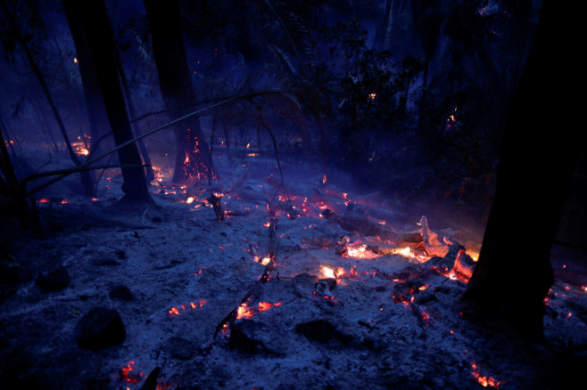 A tract of the Amazon jungle is seen burning