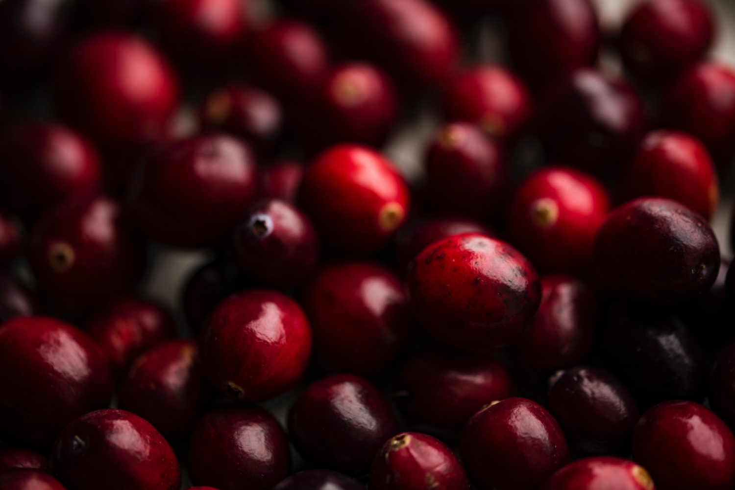 Are Cranberries Good For You? Here's What Science Says