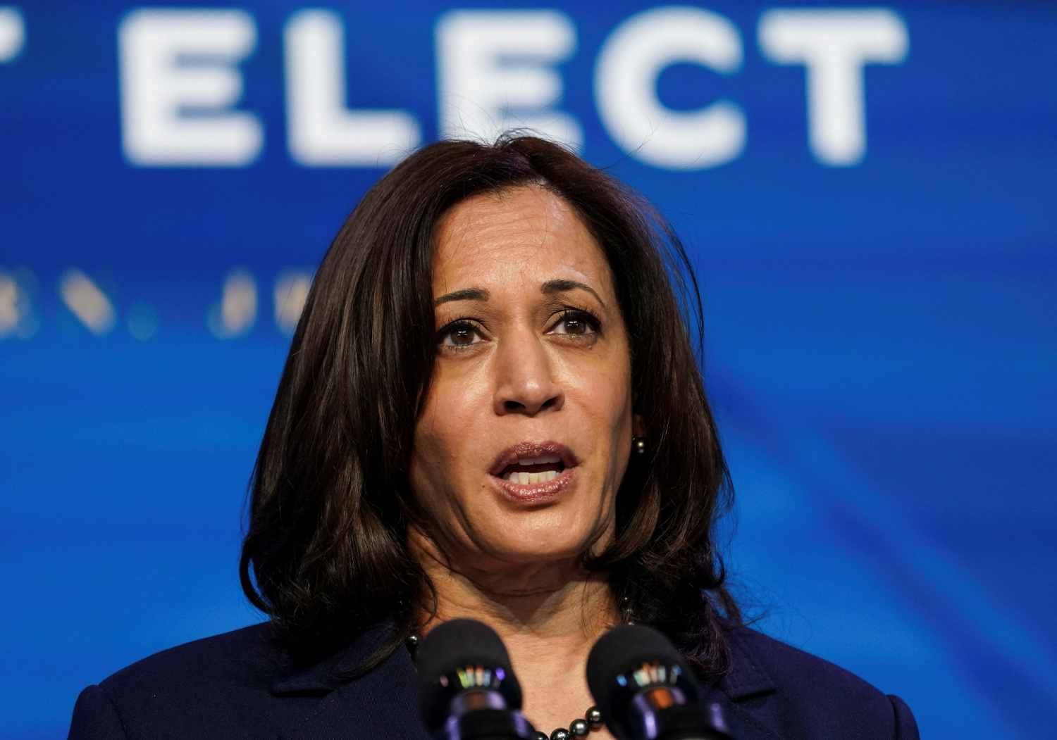 Kamala Harris Next President 2024 Rita Verina