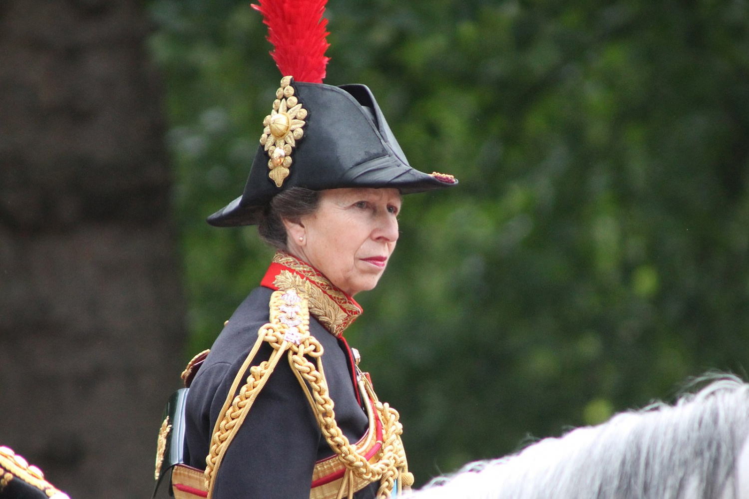 Will Princess Anne Wear Her Military Uniform For Prince Philip's Funeral?