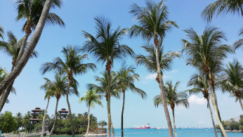 If you're dreaming of the perfect place to have that tropical getaway, here are the five best luxury resorts in Palawan. 