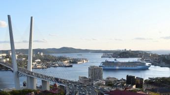Cruise Industry