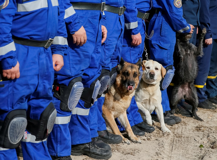 Ukrainian servicemen with their dogs take part in a joint drill of departments of Interior Ministry at the International training Centre near the village of Stare in Kiev region, Ukraine September 30, 2019. 
