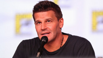 David Boreanaz