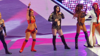 After the introduction of Ronda Rousey, 