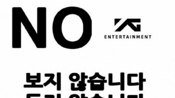 Consumers Disapprove Yang Hyun Suk but Favor Akdong Musician, 'Consumption Dilemma'
