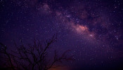The Milky Way