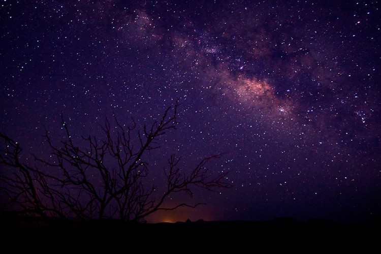 The Milky Way