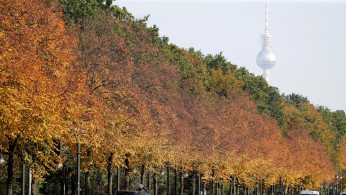 Autumnal trees of the Tiergarten park are pictured in front of the television tower in Berlin
