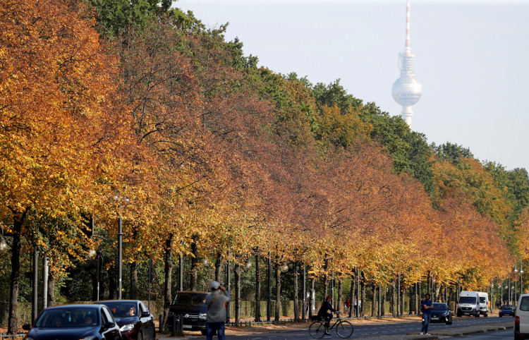 Autumnal trees of the Tiergarten park are pictured in front of the television tower in Berlin