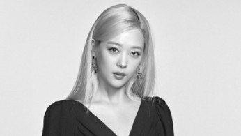 Special Apology Made for Internal Report Leakage Regarding Sulli's Passing