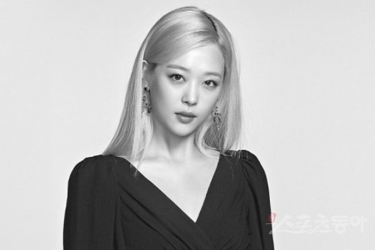 Special Apology Made for Internal Report Leakage Regarding Sulli's Passing
