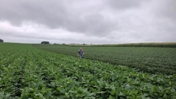 US SOYBEANS