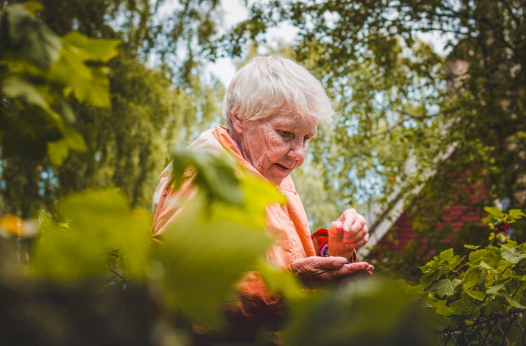 Shallow focus of a woman near plants.