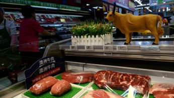 Meat In China