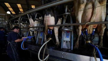 China Boosts Global Dairy Demand