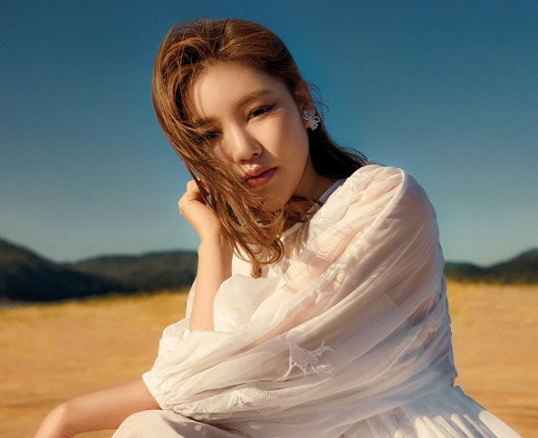 Song Ga-in’s FanCafe “Again” Caught in a Controversy of Embezzlement and Unjust Expenses
