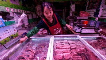 China Pork Industry