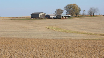 American soybeans