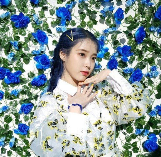 K-Pop Singer IU Reflected Upon "Love Poem" with the Background Photo of Blueming