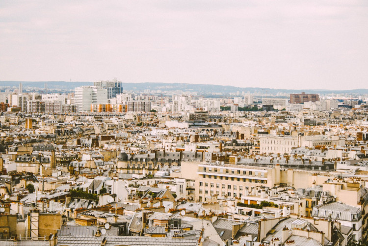Bird's eye view photo of city during day time.