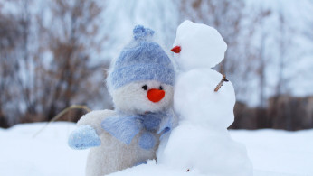 Photo of a snowman plush toys.