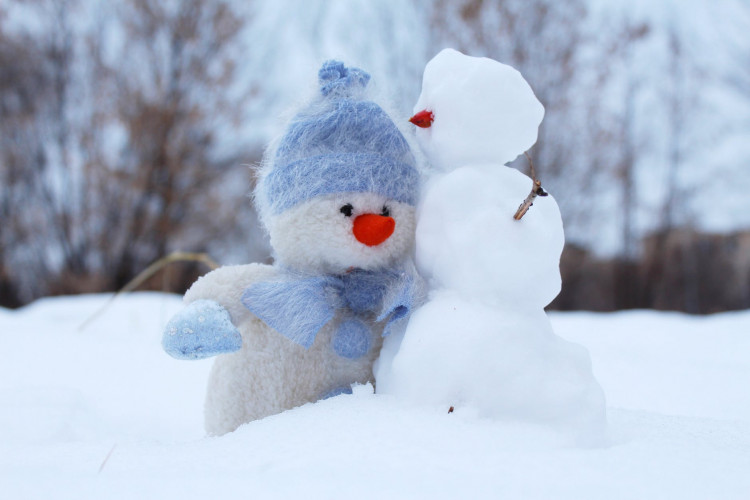 Photo of a snowman plush toys.