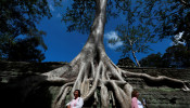 Tourists pose near a tree growing out of the Ta Prohm temple, near Angkor Wat, in Siem Reap, Cambodia