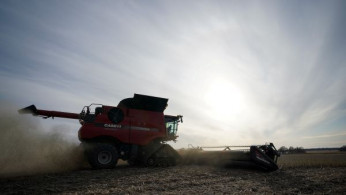 Soybeans harvested on Hodgen Farm in Roachdale, Indiana