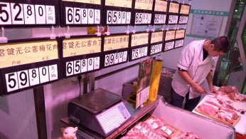 China pork crisis