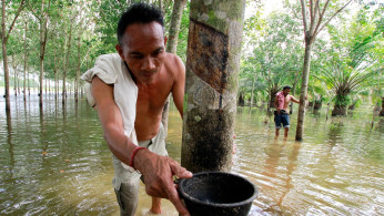 Thailand Rubber Industry