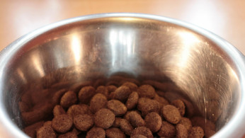 PET BUSINESS