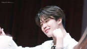 BTS Jimin