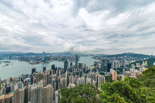 City buildings and green trees near ocean.