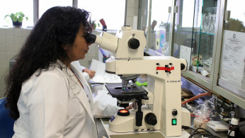 DNA STUDY