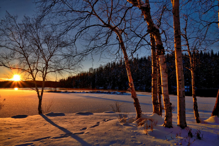Snowy field during golden hour.