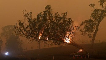 A burning gum tree is felled to stop it from falling on a car in Corbago, as bushfires continue in New South Wales, Australia