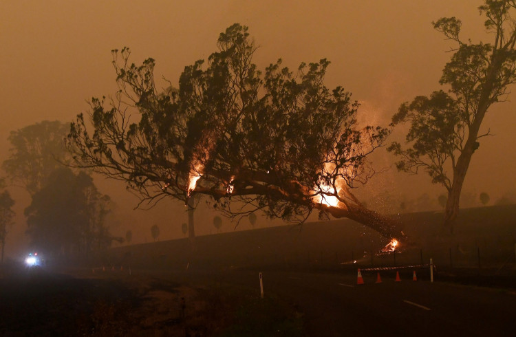 A burning gum tree is felled to stop it from falling on a car in Corbago, as bushfires continue in New South Wales, Australia