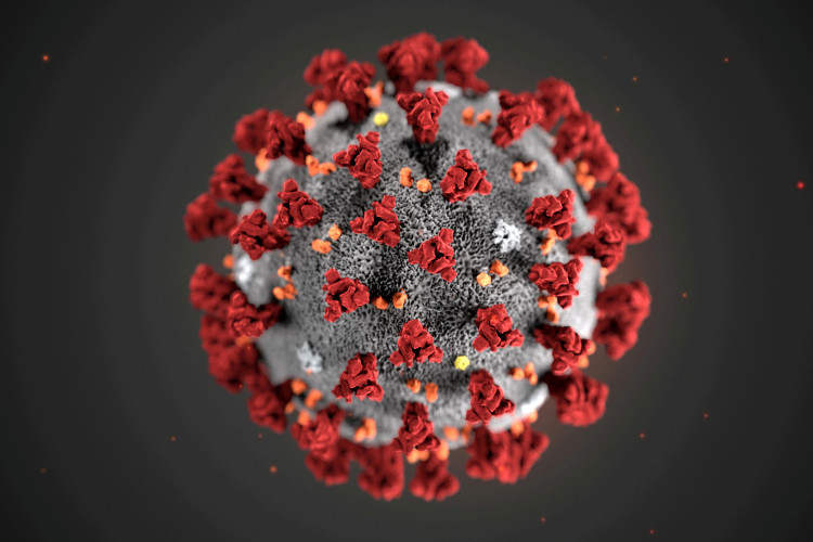 Coronavirus ultrastructural morphology