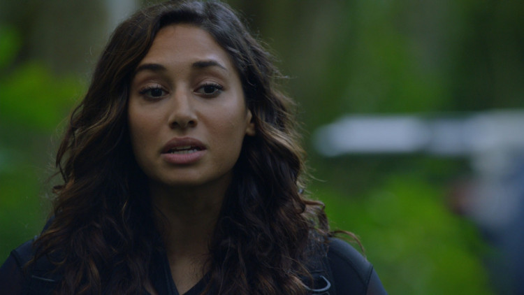 Hawaii Five-0
